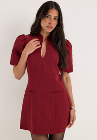 Shaped Mini Dress