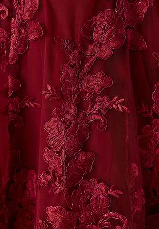 Embroidered Lace Dress