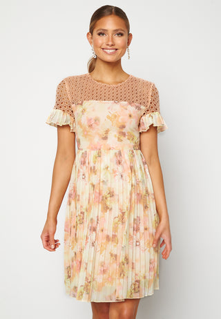 Dana Chiffon Dress