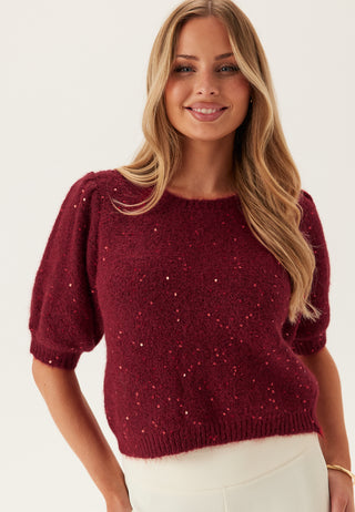 Pcmesva Short Sleeve Sequin Tie Back Knit