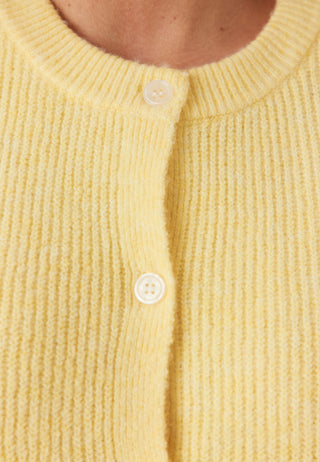 Pcsilly Kortermet O-hals Strikket Cardigan