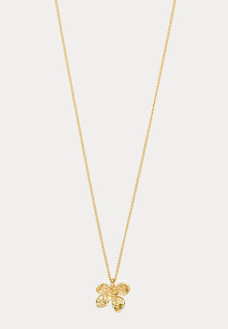 Ajani Necklace Gold-plated