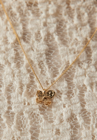 Ajani Necklace Gold-plated