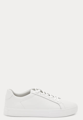 Cody Sneakers