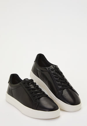 Cody Sneakers