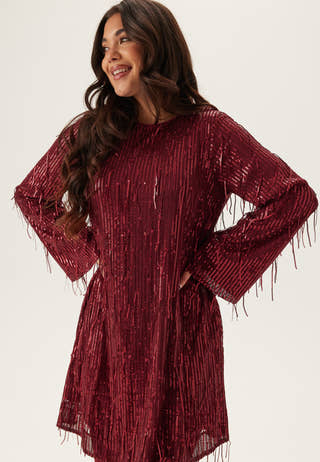 Yaslantra Ls Sequin Fringe Dress