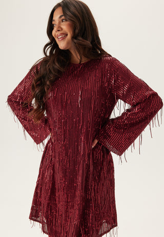 Yaslantra Ls Sequin Fringe Dress